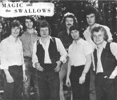 Magic and the Swallows