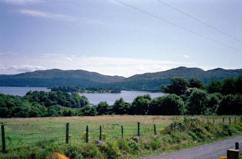 Beezies Island, Lough Gill